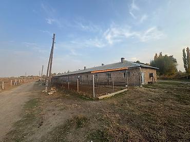 ферма купить: 100 соток, Действующий, С оборудованием, Скважина, Холодная вода, Электричество — 4