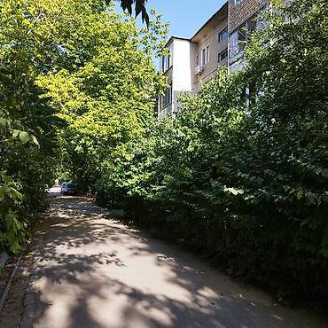 58: 3 комнаты, 58 м², 104 серия, 2 этаж, Косметический ремонт — 3