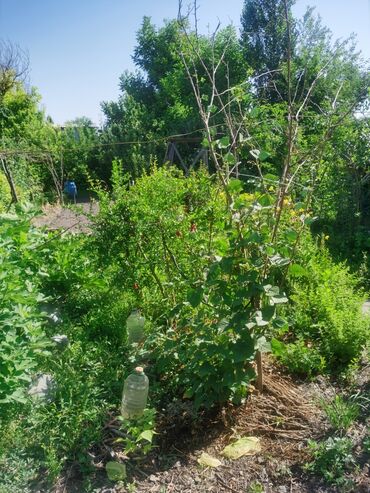 Продажа домов: Дом, 1200 м², 4 комнаты, Собственник, Косметический ремонт — 23