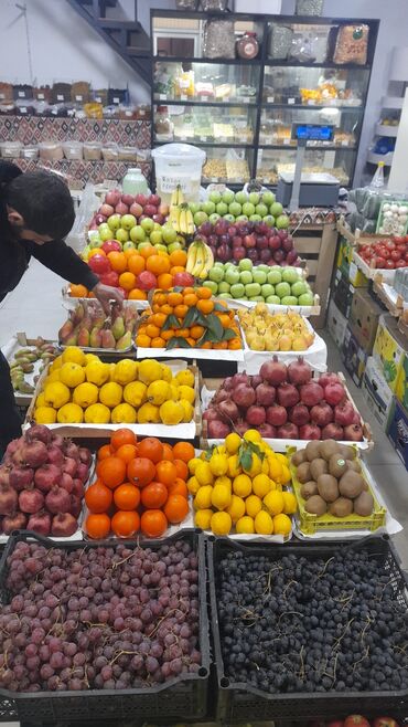 Satış üzrə menecerlər: Satış meneceri tələb olunur, İstənilən yaş, 1-2 illik təcrübə, Ayda 2 dəfə ödəniş