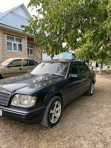 Mercedes-Benz E-Class: 1993 г., 2.2 л, Механика, Бензин, Седан
