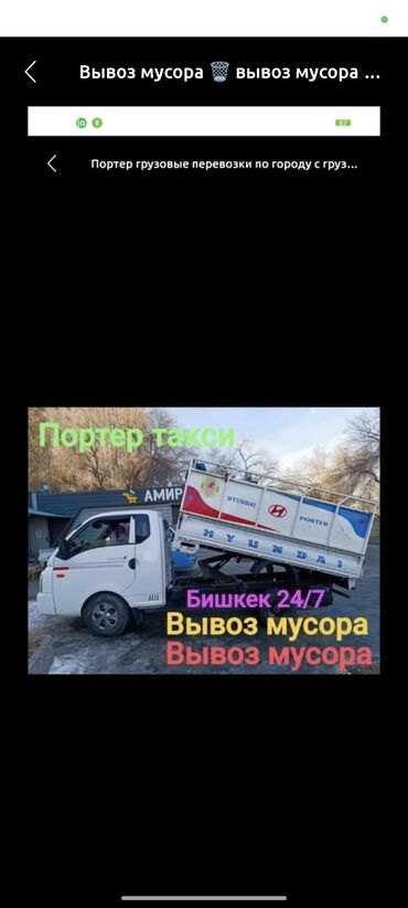 кошка с разными глазами: Портер такси портер такси портер такси Портер такси портер такси