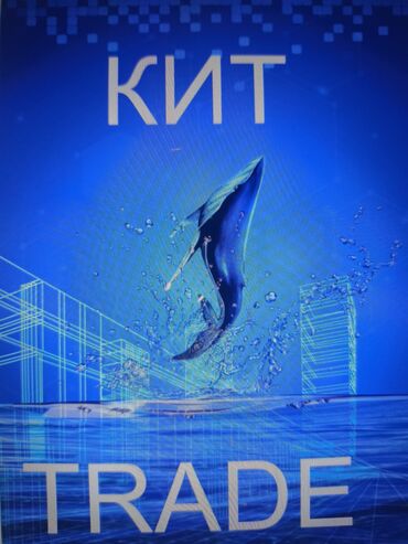 коропка одиссей: КИТ TRADE — торговая/инвестиционная платформа. Ключевые особенности