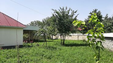 Günlük kirayə evlər: 50 kv. m, 3 otaqlı, Su, İnternet, İşıq -da lalafo.az — 3 Günlük kirayə evlər: 50 kv. m, 3 otaqlı, Su, İnternet, İşıq — 3