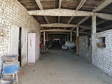 Аренда участков: 900 соток Для бизнеса, Электричество, Водопровод — 4