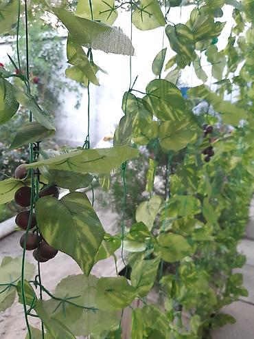 Посуточная аренда квартир: 1 комната, Постельное белье, Парковка, Бронь — 16