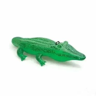kutije za nakit београд слике: Dusek za vodu Aligator 168x86cm Dusek za vodu Aligator 168x86cmDUSEK