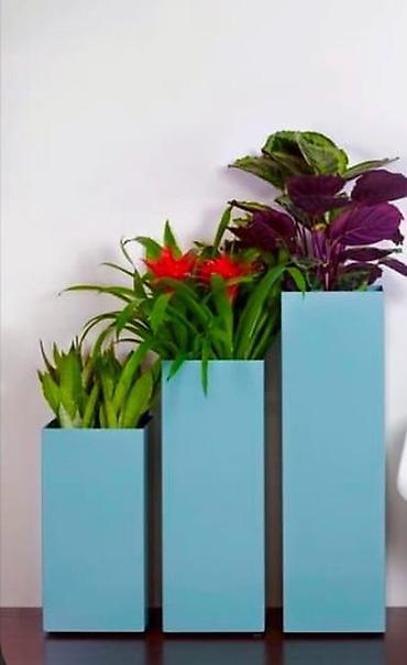 Bitkilər üçün dibçəklər: Dibcekler — 13