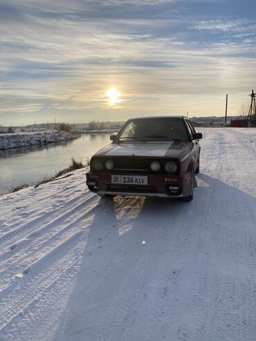 Volkswagen: Volkswagen Golf: 1988 г., 1.8 л, Механика, Бензин, Бус