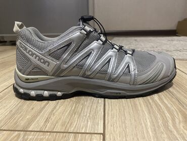 мужская спортивная одежда: Мужские Кроссовки Salomon Xa Pro 3D Gtx® покупал за 190$ . Носил 3-4