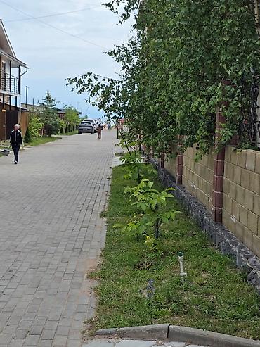 Недвижимость: Аренда квартиры на Иссык-Куле, Кыргызское взморье, Бостери, 4 места — 8