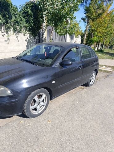 Seat: Seat Ibiza: 1.9 l | 2004 г. 353991 km Hečbek — 8