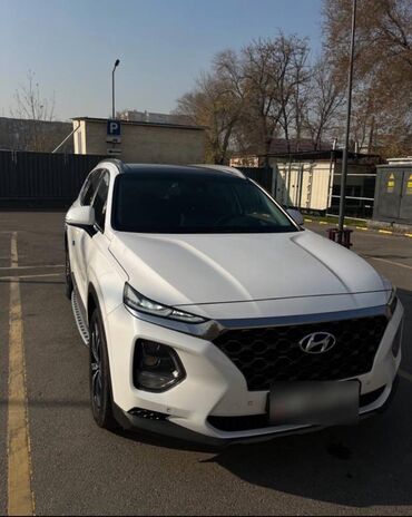 Hyundai: Hyundai Santa Fe 2.0 дизель Комплектация: максимальная (Пороги