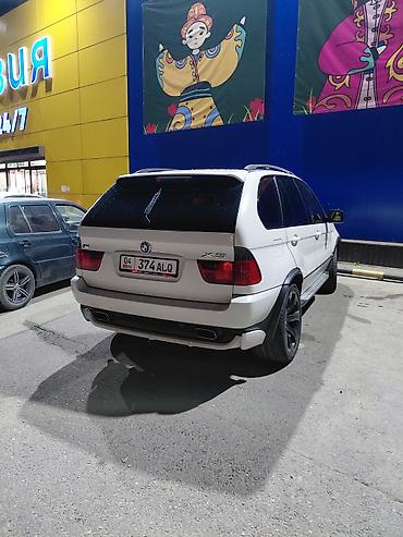 вдоль реки: BMW X5: 2005 г., 4.8 л, Автомат, Бензин, Кроссовер — 5