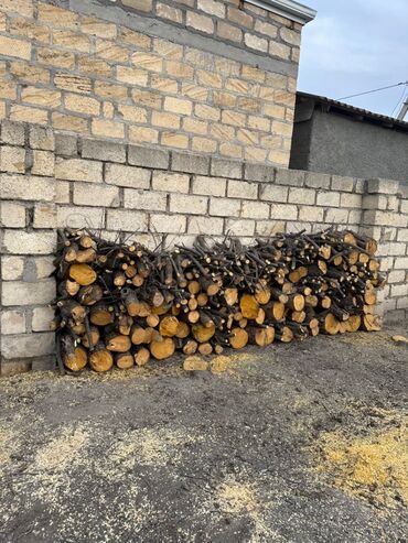 Ev və bağ: Odun satılır bərdə rayonunda vatçap aktivdi