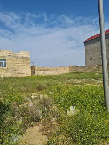 Torpaq sahələrinin satışı: Tikinti, Kupça (Çıxarış)