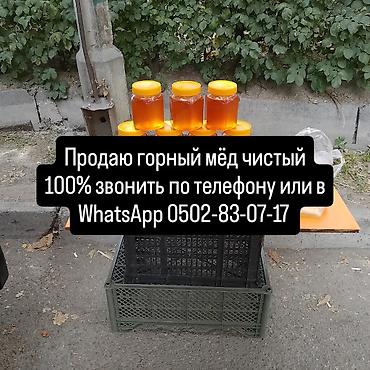 султан де саба бишкек: Продаю чистый горный Горный мёд килограмм 700 сом - Натуральный горный — 9