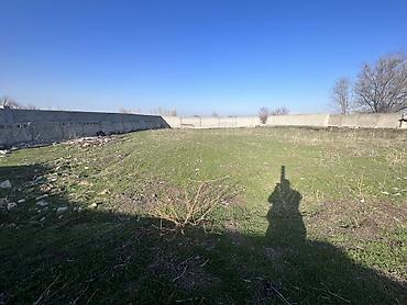 Продажа сельхоз предприятий: Сельскохозяйственные корпуса/сараи под фермерство Описание: - — 11