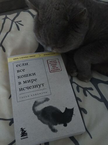 Художественная литература: 48 минут осколки 500с Слушай песню ветра 300 Артур хейли отель 400 at lalafo.kg — 3 Художественная литература: 48 минут осколки 500с Слушай песню ветра 300 Артур хейли отель 400 — 3