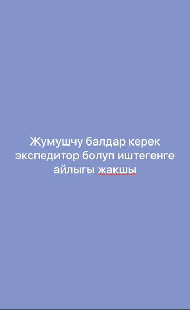 переводчик арабский: Жумушчулар керек экспедитор болуп иштегенге срочно