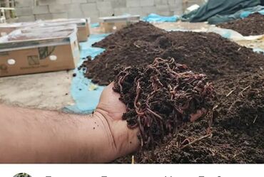 фрезы бишкек: Мешок, Новый