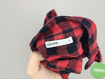 bpc clothing: Cropp, Koszula damska, rozmiar S — 5