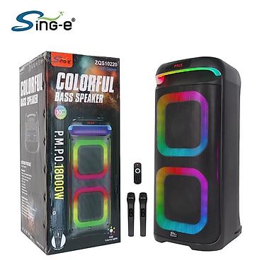 zqs: Портативная акустическая система Sing-e ZQS10220 (10" PARTY) - Мощная — 2