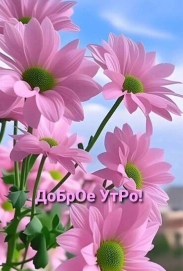 няня на полный день: Возьму к себе няньчить одного ребенка от 2-х до 7 лет. Педагог с