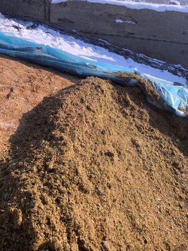 Корма для с/х животных: Силос кукурузный - Корм для КРС, МРС и свиноводства - Однородная — 8