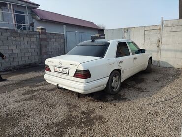 Mercedes-Benz: Mercedes-Benz W124: 1993 г., 2.9 л, Механика, Дизель, Седан