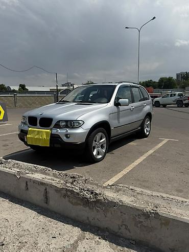 калотки: BMW X5: 2004 г., 3 л, Типтроник, Дизель, Кроссовер — 1