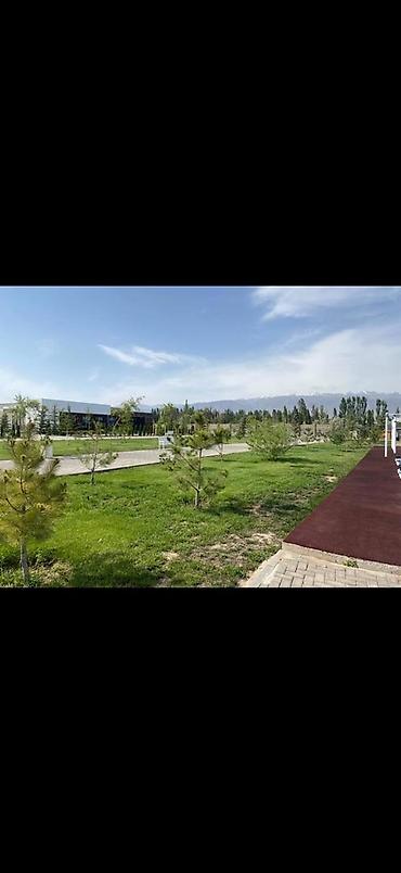 Иссык-Куль 2026: Коттедж, ЦО Радуга West — 17