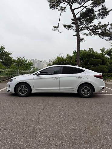 byd ex5: Hyundai Avante: 2020 г., 1.6 л, Автомат, Бензин, Седан — 7