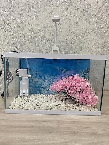 Akvariumlar: Hazır 12 Litr akvarium seti. İşlənməyib yenidir. Başqa yeni digər — 7