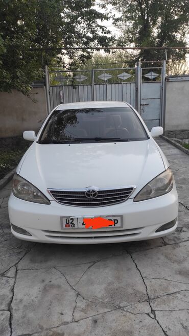 тайота альфрад: Toyota Camry: 2002 г., 2.4 л, Автомат, Бензин, Седан