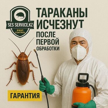 цены на строительные работы в бишкеке 2023 год: Профессиональная дезинсекция от тараканов — SES SERVICE.KZ (Pest