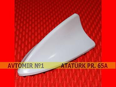 Аксессуары и тюнинг: Dekorativ antenna ag 🚙🚒 ünvana və bölgələrə ödənişli çatdırılma — 1