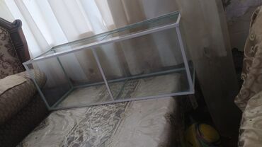naxa balığı qiyməti: Dördbucaq akvarium, Boş, 70 l, Ünvandan götürmə