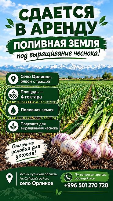 земля беловодское: Для сельского хозяйства — 1