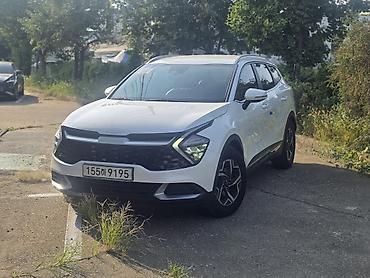 кореея: Kia Sportage: 2021 г., 1.6 л, Автомат, Бензин, Кроссовер — 1