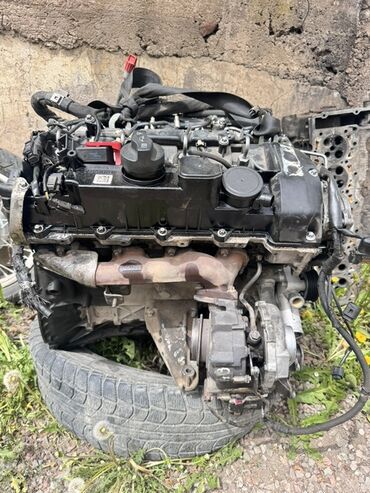 полировка для авто: Delphi om646