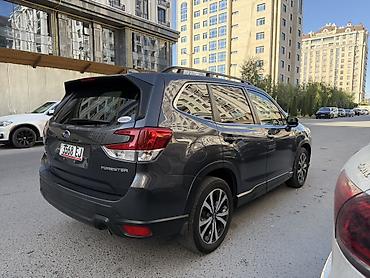субару форестер 2023: Subaru Forester: 2022 г., Кроссовер — 4