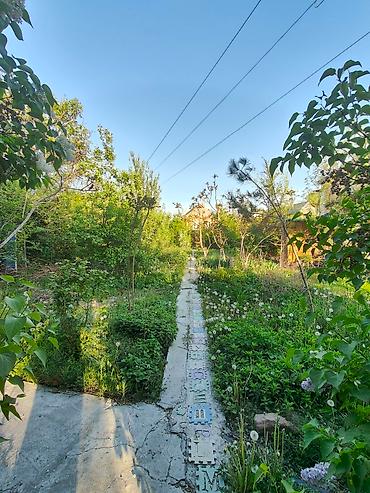 Продажа дач: Продается добротная дача 5 соток, красная книга, в районе нижней — 2