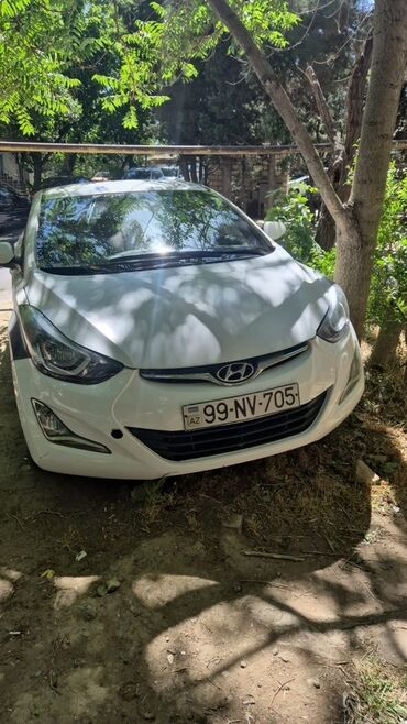 hyundai county: Hyundai Elantra: 1.6 л | 2014 г. Седан