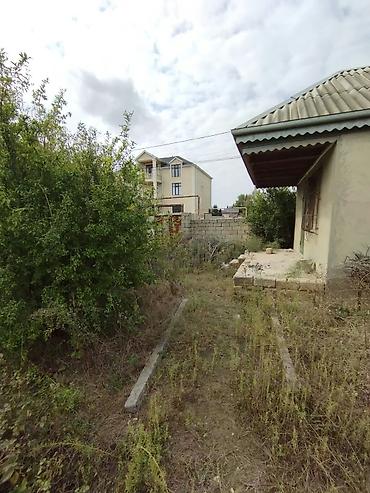 Продажа участков: 8 соток, Для сельского хозяйства, Собственник, Купчая — 5