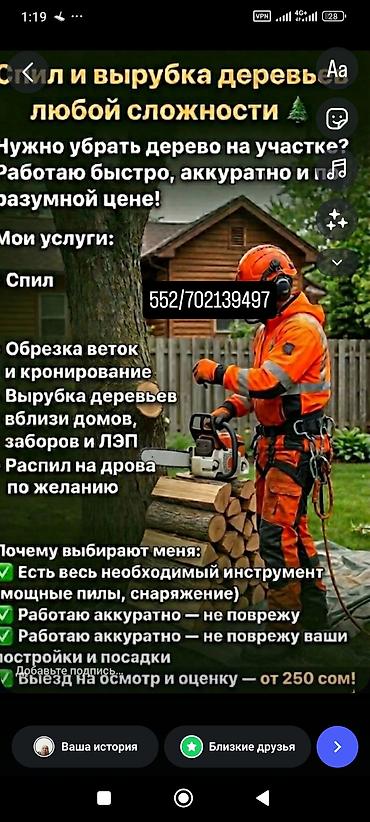 дров: Спил и вырубка деревьев любой сложности Профессиональные высотные — 2
