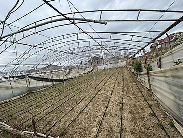 dam ortukleri: İstixana kompleksi – dam örtüyü karkaslı, tam işlək əkin sahələri və — 5
