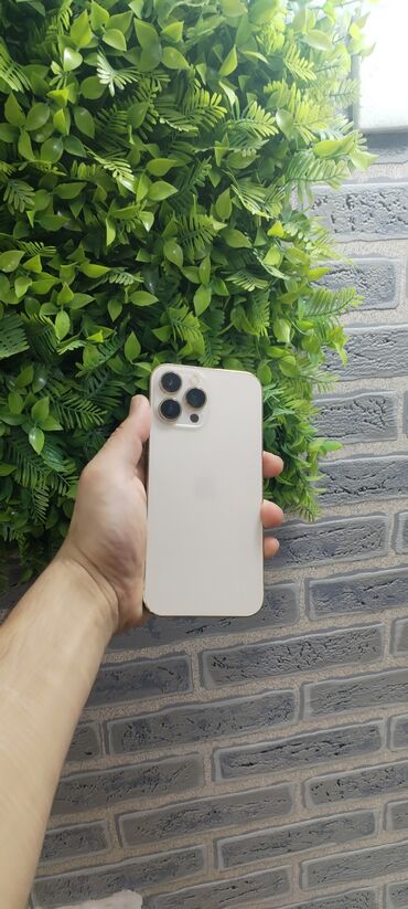 Apple iPhone: IPhone 13 Pro Max, 256 GB, Matte Gold, Kredit, Simsiz şarj, Face ID