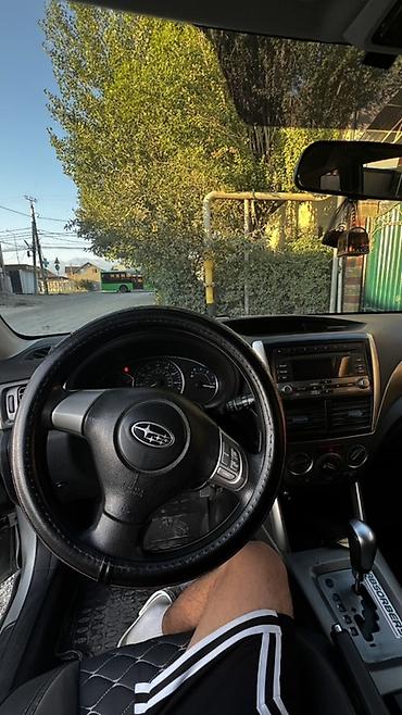 бампер forester: Subaru Forester: 2009 г., 2.5 л, Автомат, Бензин, Кроссовер — 7