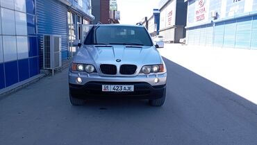 поло: BMW X5: 2003 г., 3 л, Типтроник, Бензин, Кроссовер